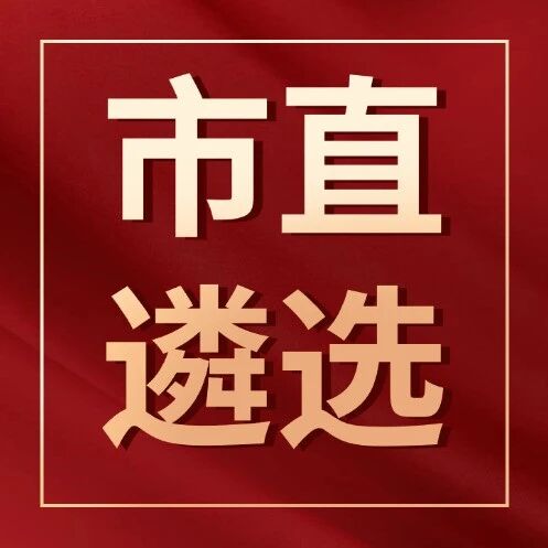2025年度石家庄市市直机关公开遴选公务员资格复审工作安排